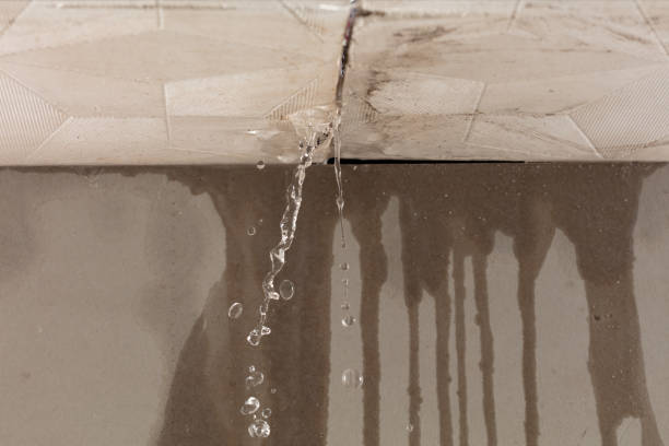 Professional Structural Drying technician working in Snook, TX